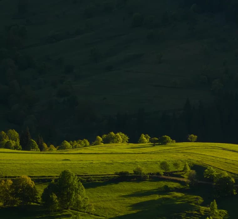 Sunlit green valley of terraced farmland