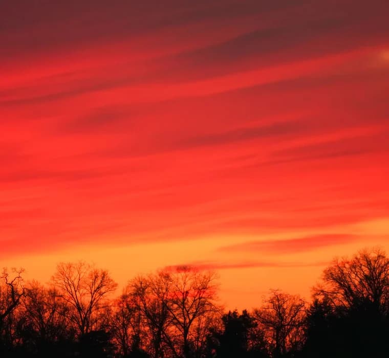 Deep red sunset burning over a treeline